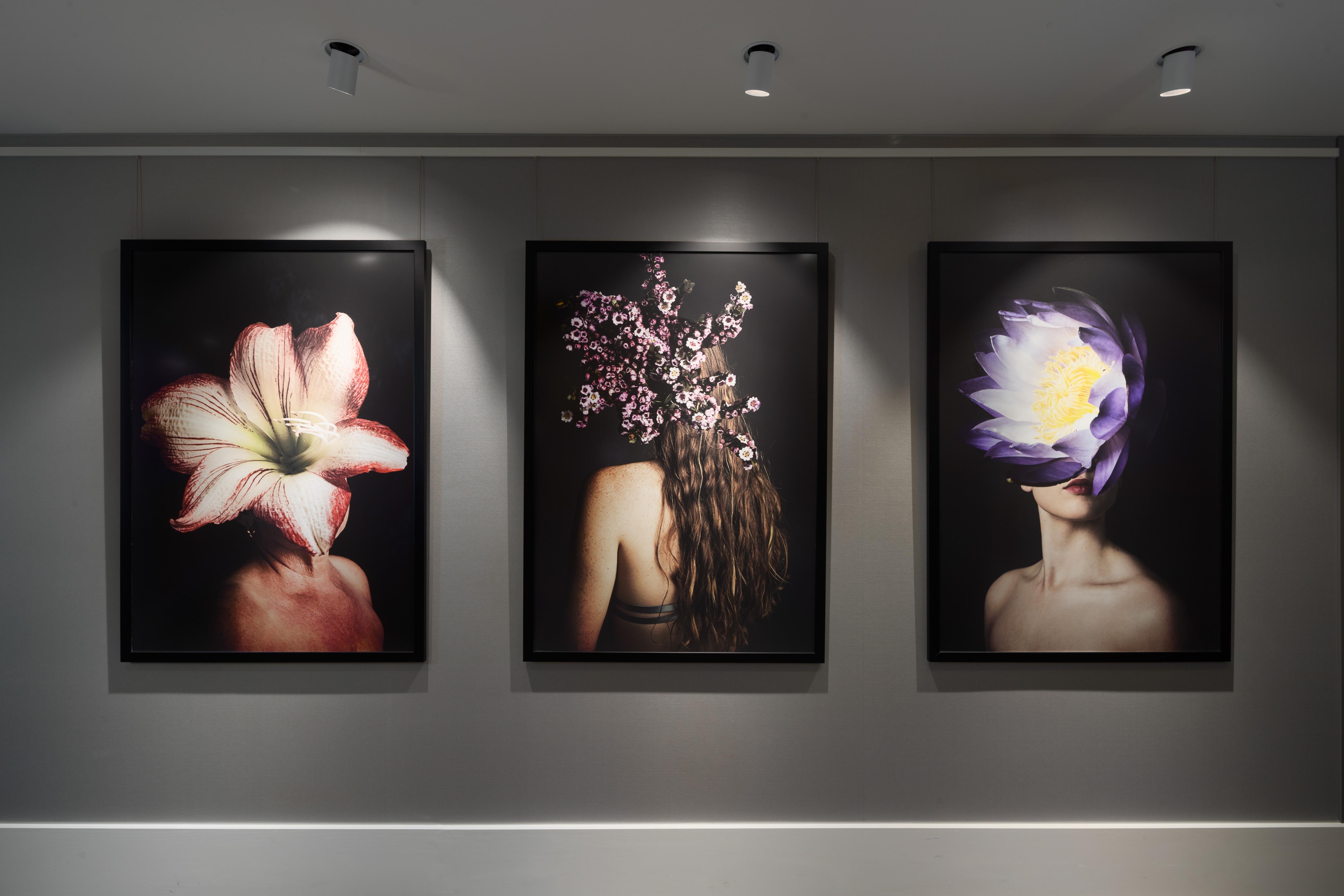 Crystalbrook Bailey Otel Cairns Dış mekan fotoğraf The Flower Series